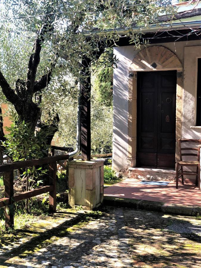 Casale L'Antica Mola Villa Castel Madama Ngoại thất bức ảnh