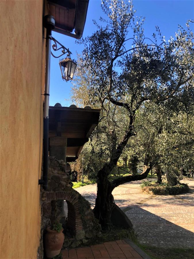 Casale L'Antica Mola Villa Castel Madama Ngoại thất bức ảnh
