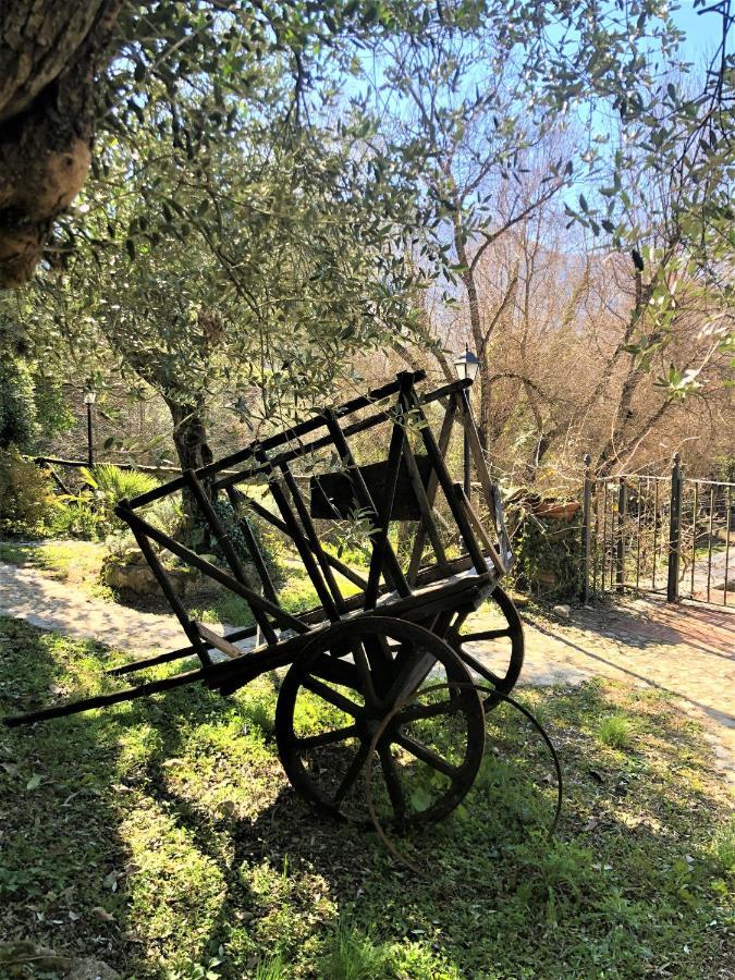 Casale L'Antica Mola Villa Castel Madama Ngoại thất bức ảnh