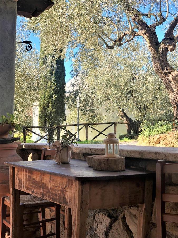 Casale L'Antica Mola Villa Castel Madama Ngoại thất bức ảnh